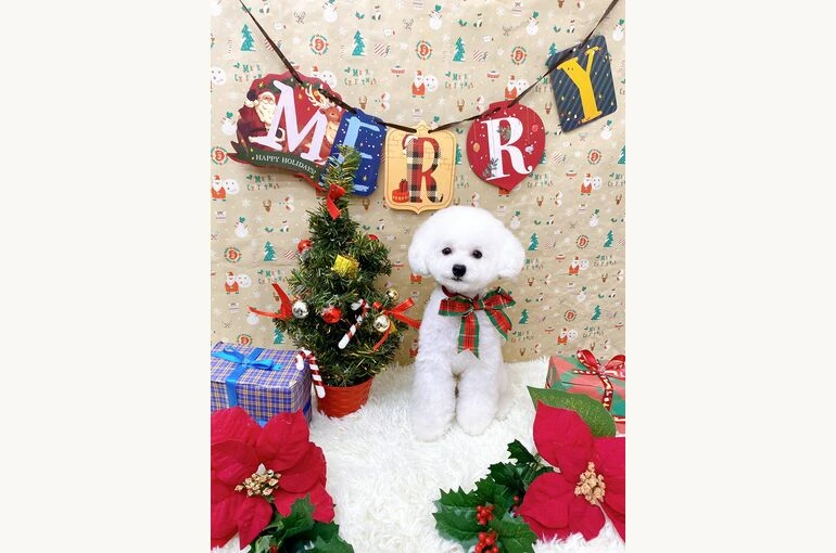 line_123135313911358