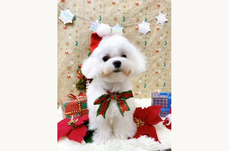thumbnail_image0-5