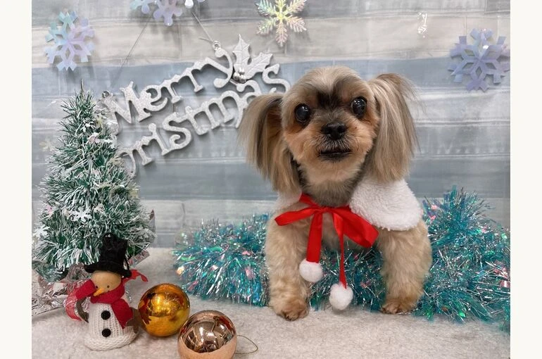 IMG_2901