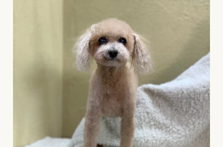 IMG_8657