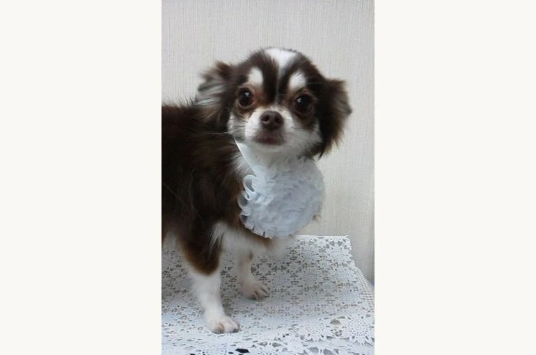thumbnail_170404_1054002