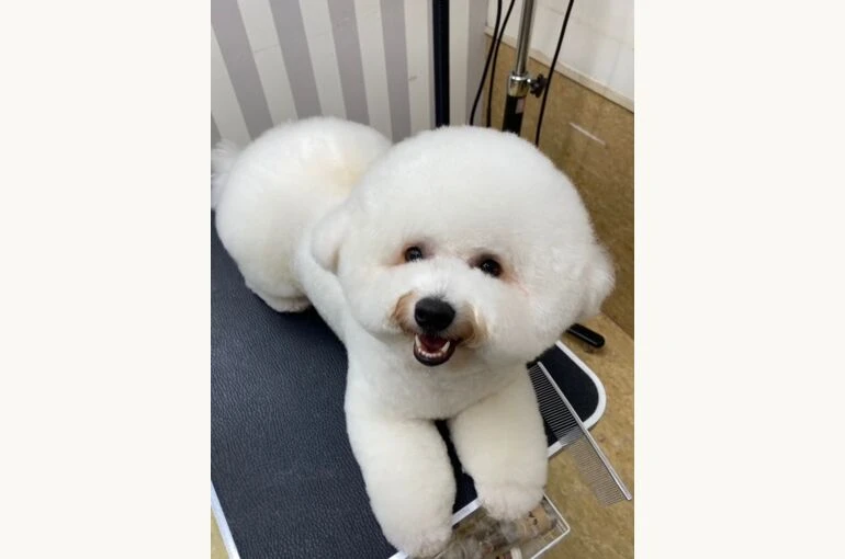 image0koko