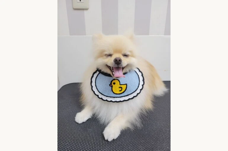2021-09-16-17-59-18-049-コピー-1