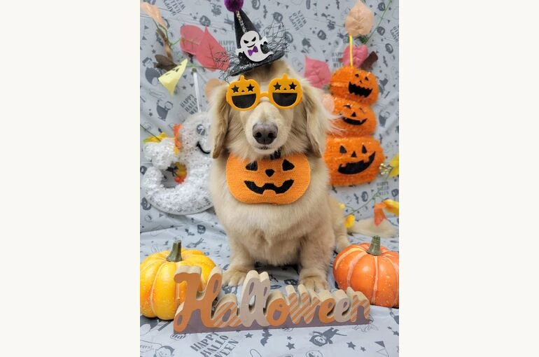 20211011_1145130