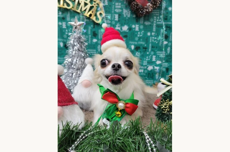 21-12-17-18-45-23-182_deco
