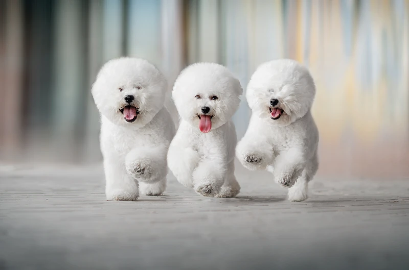 s--AdobeStock_368840805