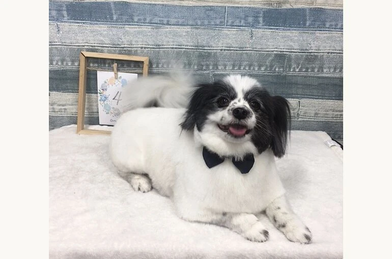 IMG_8166