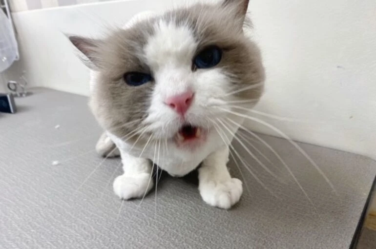 65656565