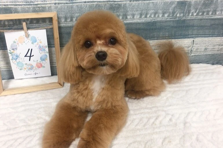 IMG_8550