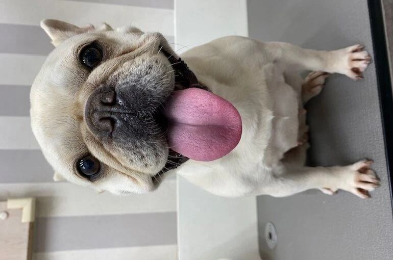 988