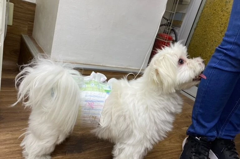 image0