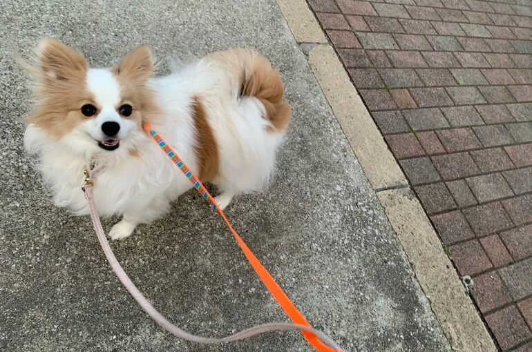 0_IMG_1797