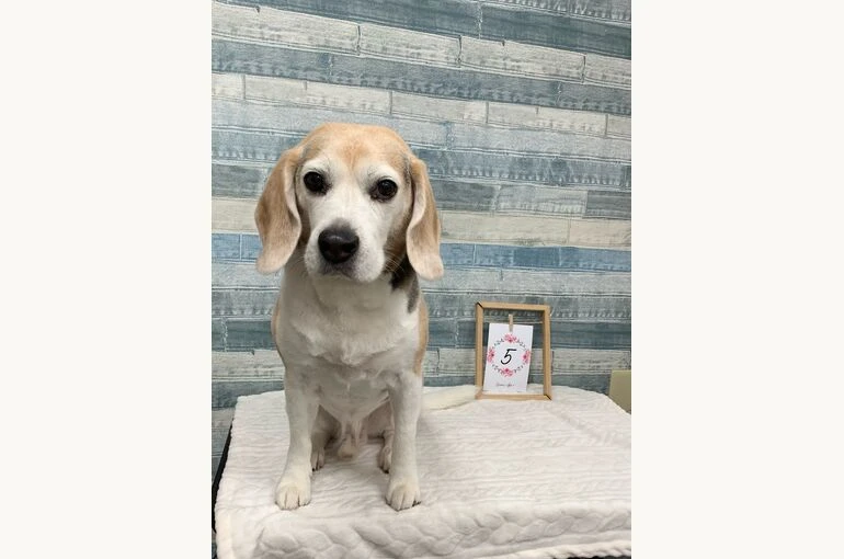 0_IMG_1968