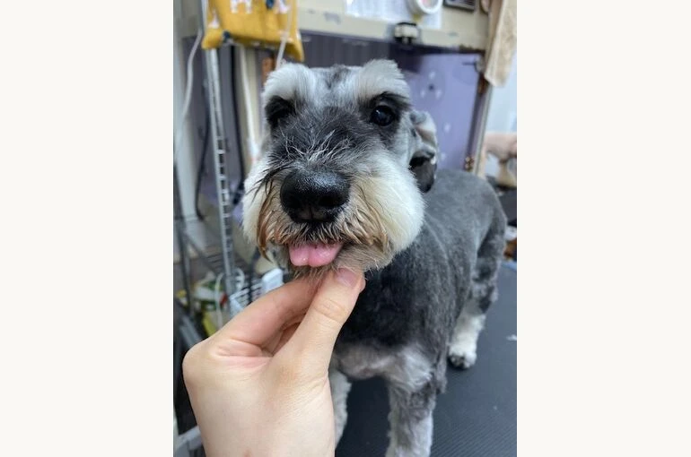 bb