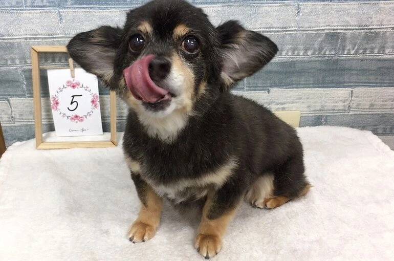 IMG_0088