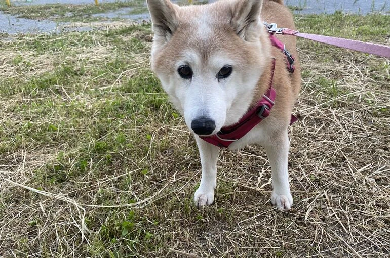 IMG_7758