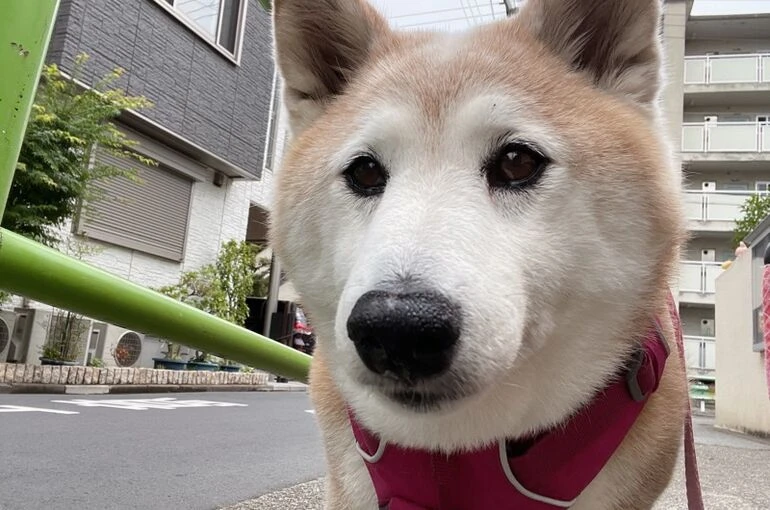 IMG_7078
