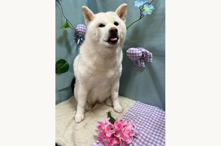 IMG_4487