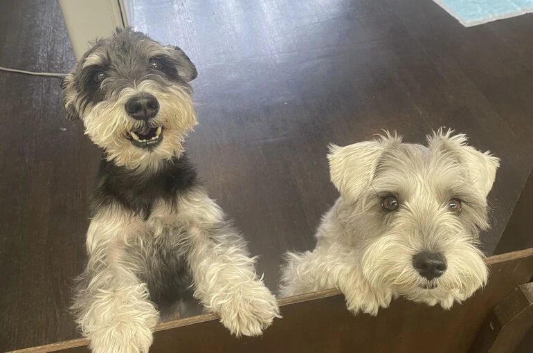 IMG_8013