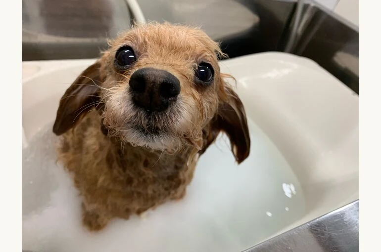 2_IMG_4145
