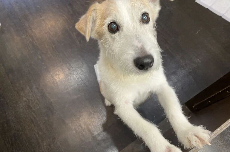 IMG_8691