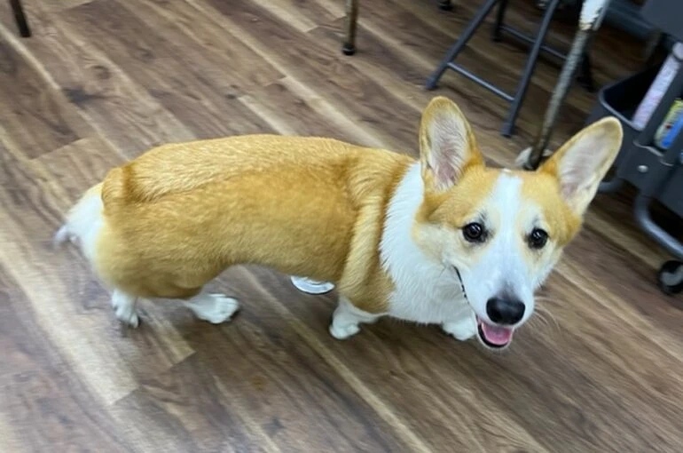 IMG_4877