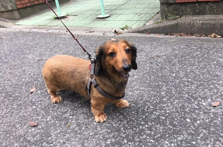 IMG_2696