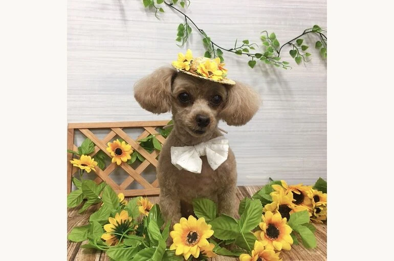 IMG_2726