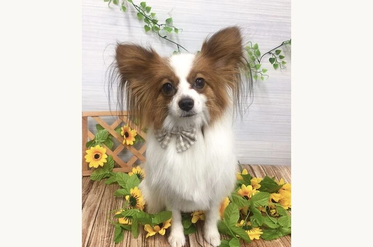 IMG_2894
