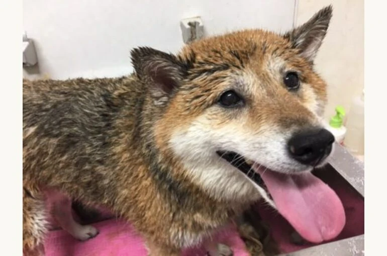 image1-8-500x375-1