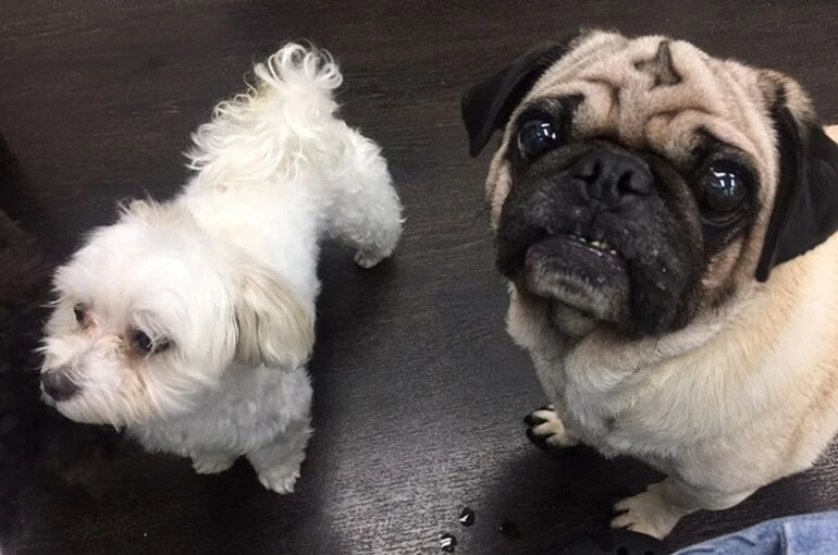 IMG_3983