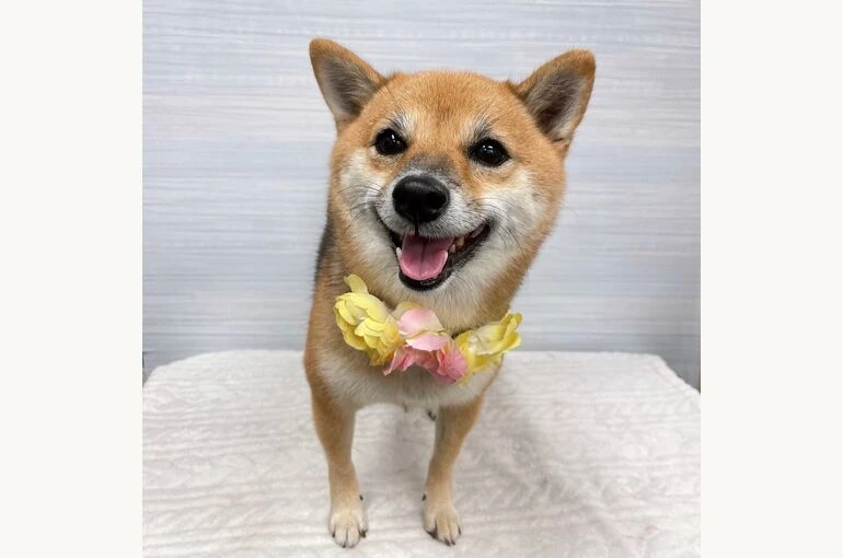 IMG_0801