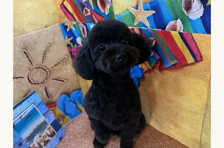 IMG_5757