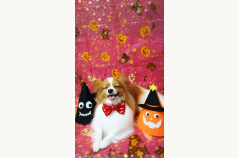 thumbnail_17-10-06-14-49-58-324_deco-281x500-1