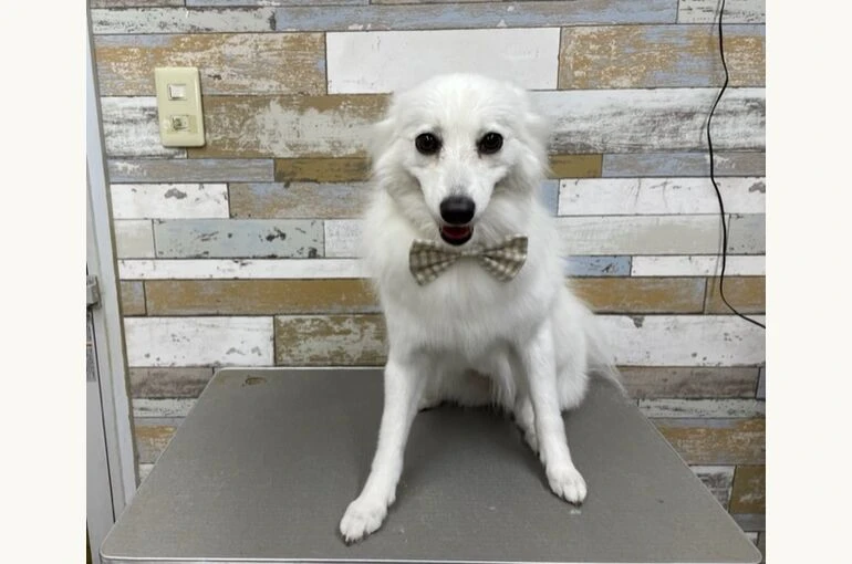 IMG_7346