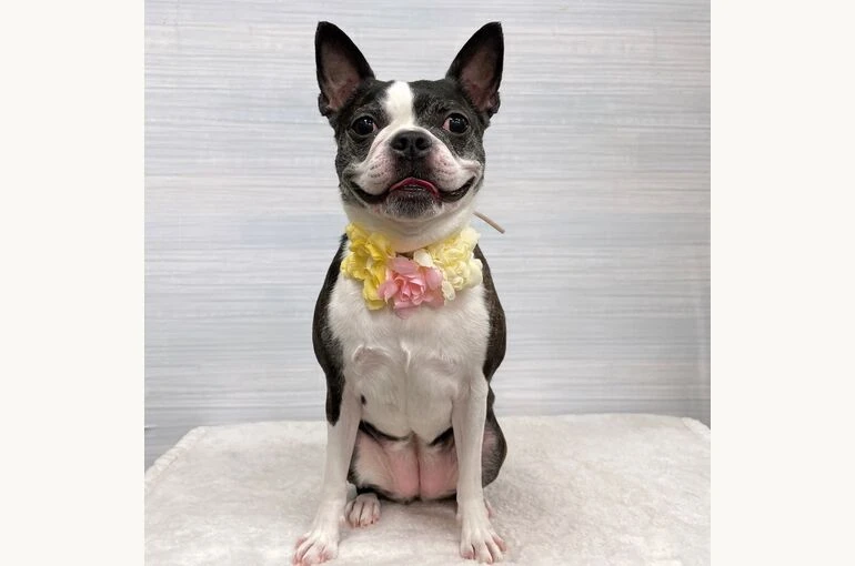 IMG_1724