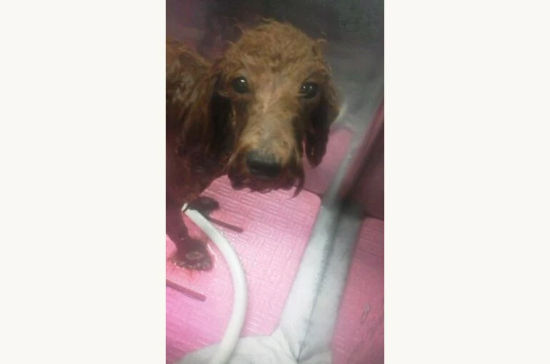 171013_1035001