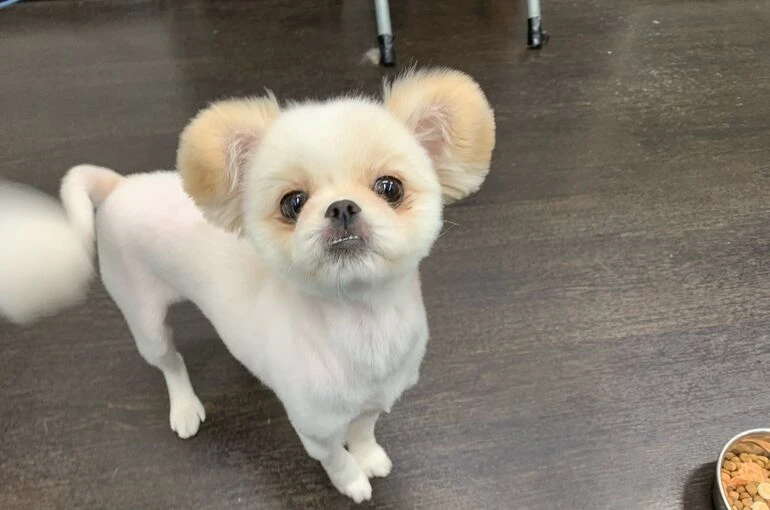 0_IMG_0394