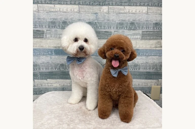 IMG_7418