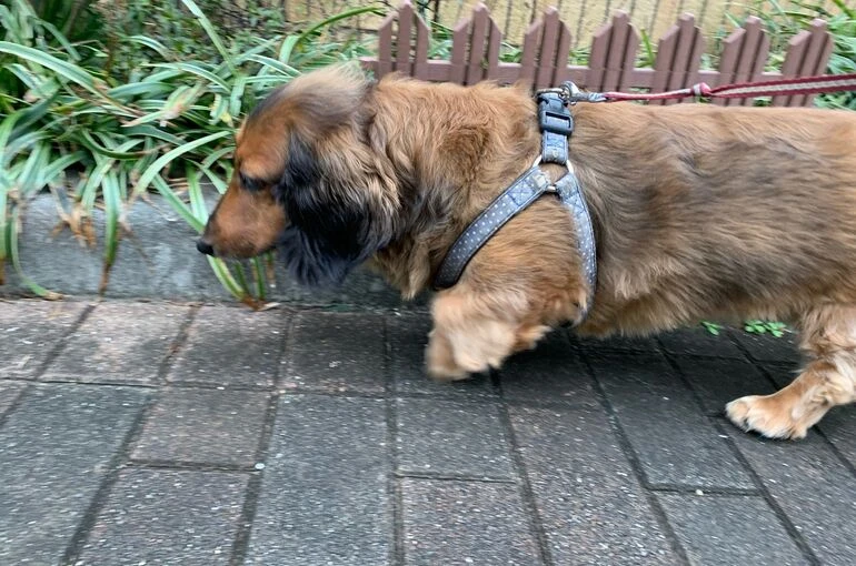 8_IMG_1702
