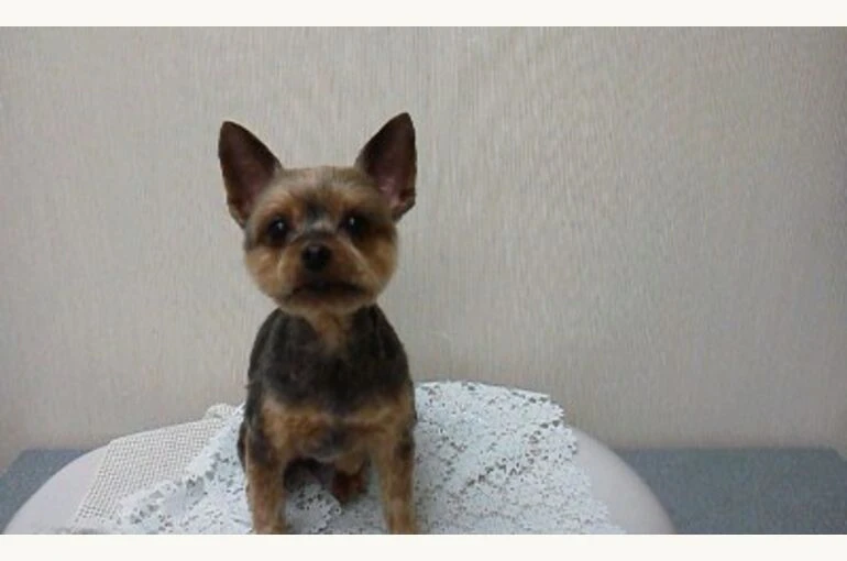 thumbnail_180111_1150001