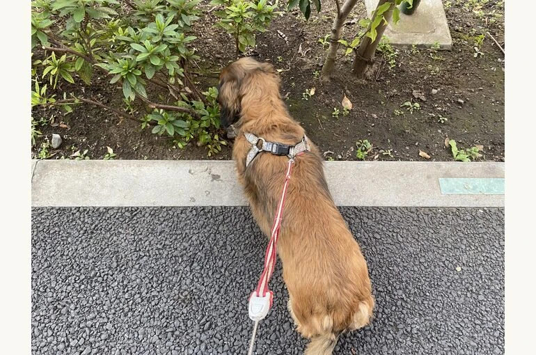 IMG_5822