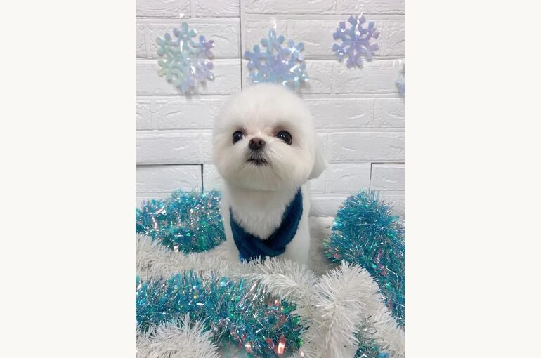 IMG_0559