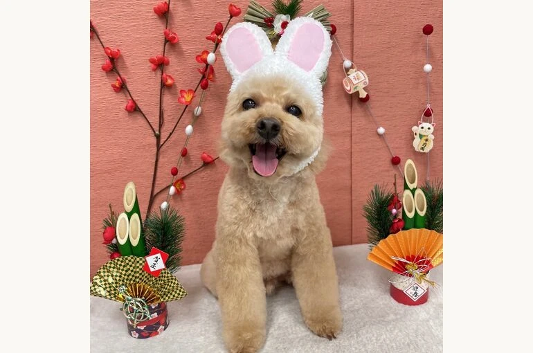 IMG_9655