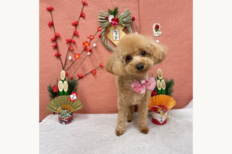 IMG_1279