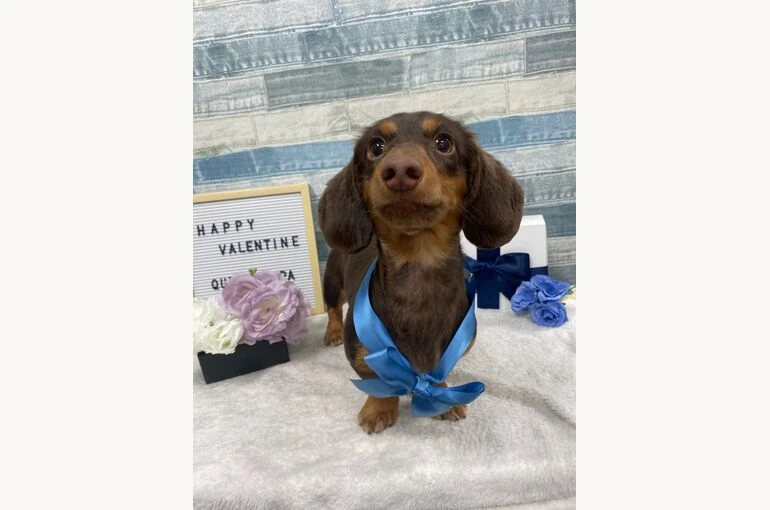 IMG_2598