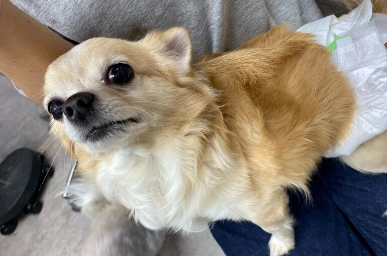 ryh