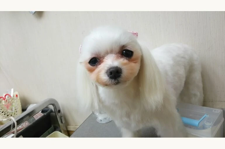 thumbnail_DSC_0429