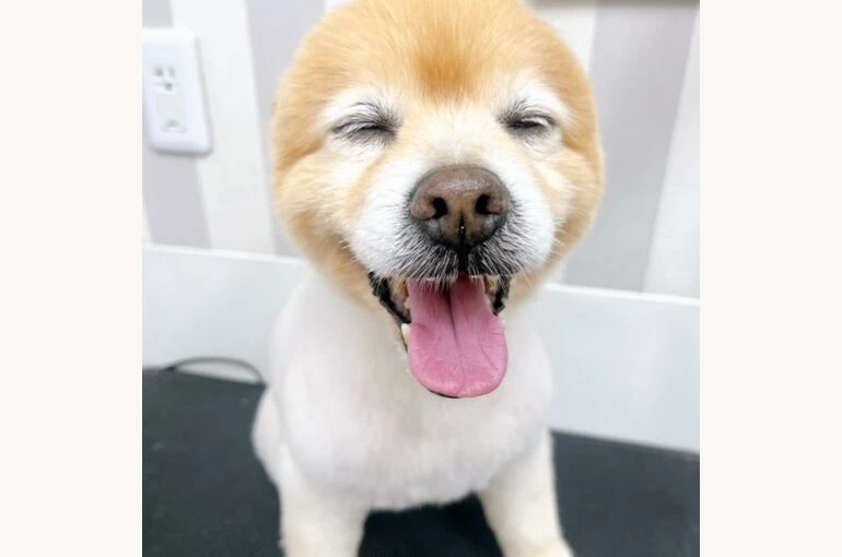 nth
