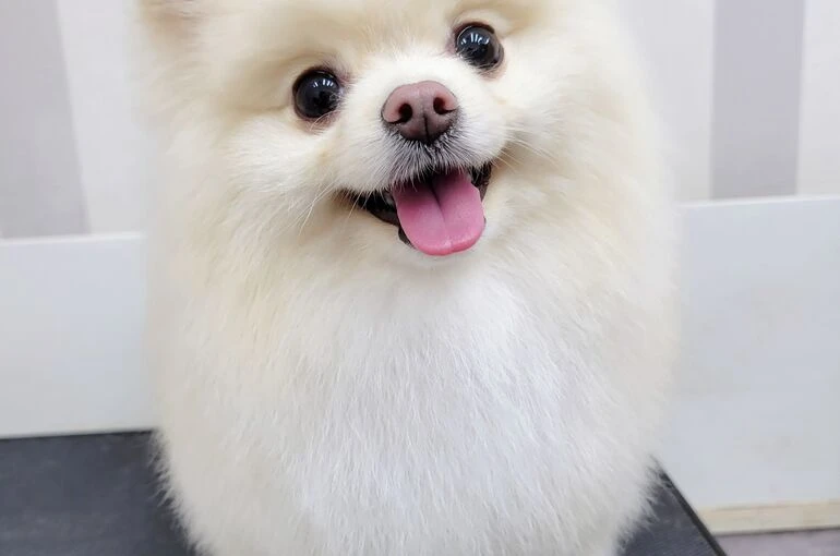 tgyu